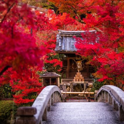 振り返るまなざしに、宿るやさしさの形 