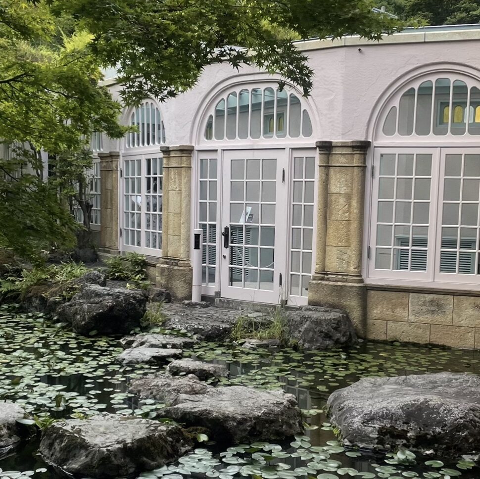 地中で出会う、静かな睡蓮