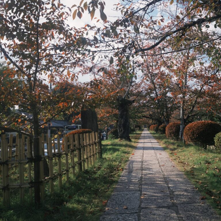 思索への遊歩道 